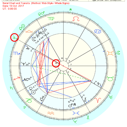 'QUICK DIP' NATAL CHART + TAROT READING - 30 Mins - My Purpose Astrology